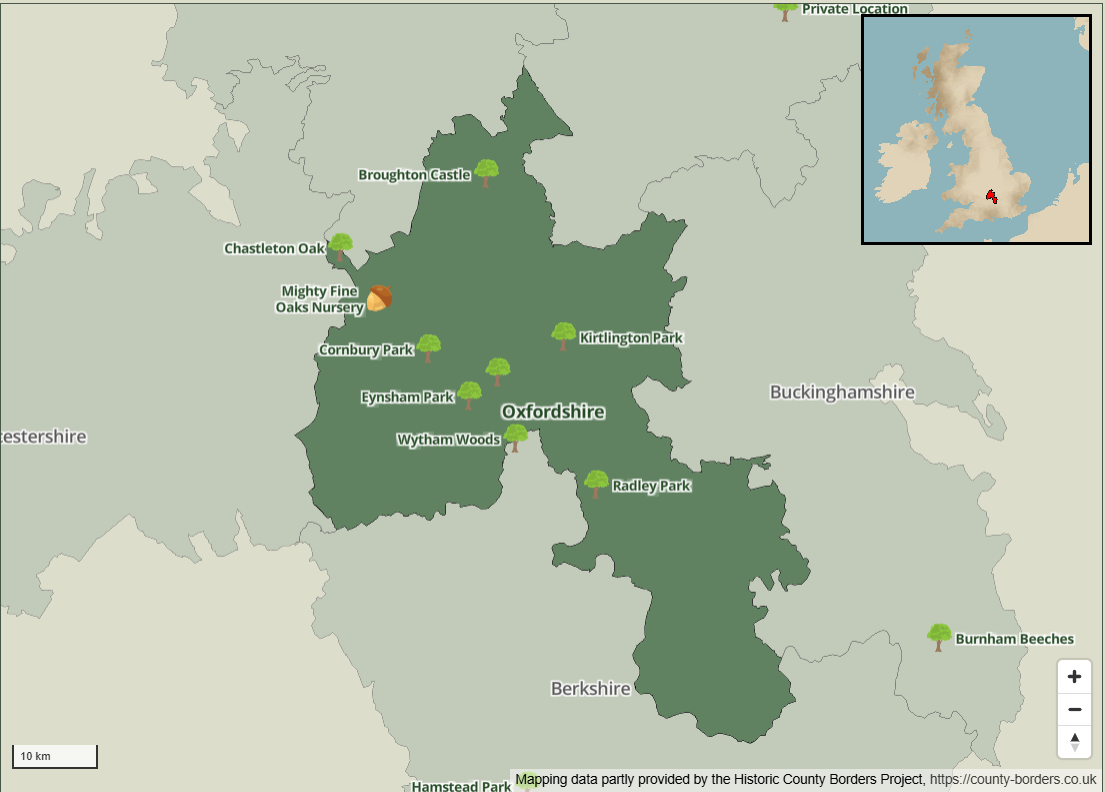 Interactive Tree Mapping System for England Heritage Project - WIX -